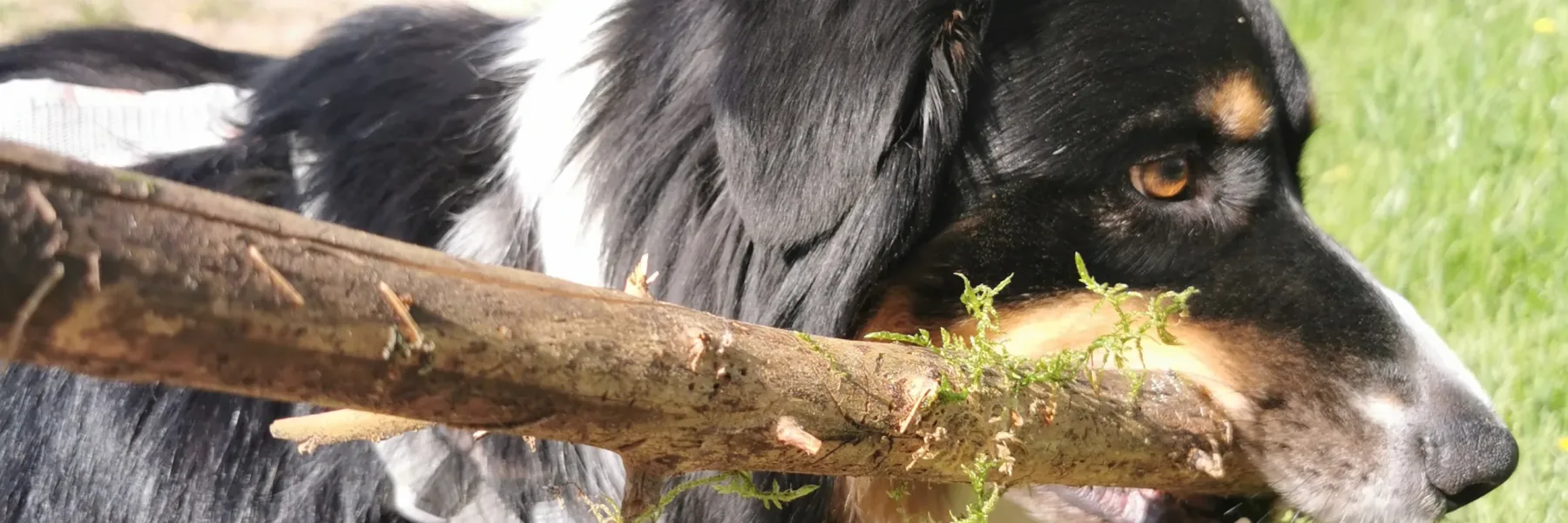 2023-06-04_02-04-44_602