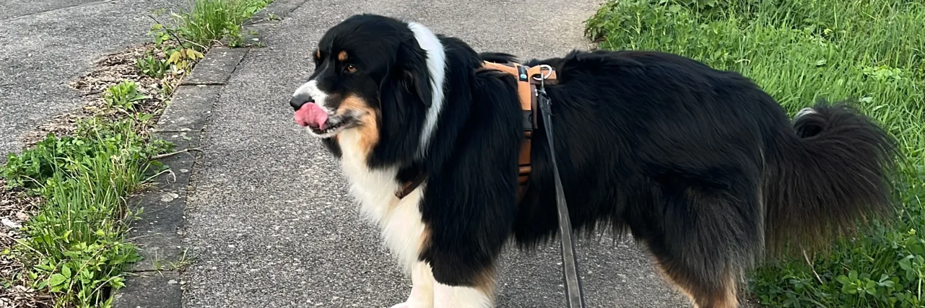 2024-04-11_19-31-57_354